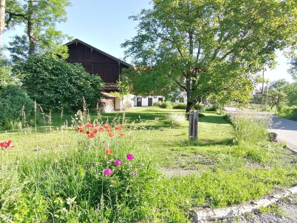 Tiny X Im Marxhof Seebruck Am Chiemsee Seeon-Seebruck Εξωτερικό φωτογραφία